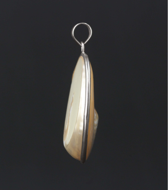 Natural Nautilus Mother of Pearl Sterling Silver Pendant Natural Nautilus Mother of Pearl Sterling Silver Pendant